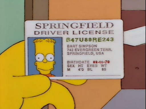 S07E20-Bart on the Road.avi_snapshot_04.34_[2010.11.01_22.42.30].jpg